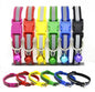 Cat Collar