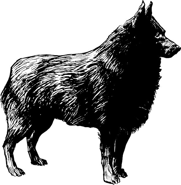 Schipperkee 1