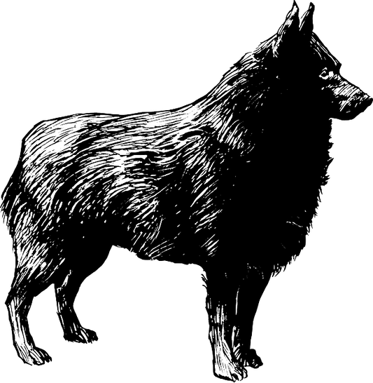 Schipperkee 1