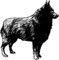 Schipperkee 1