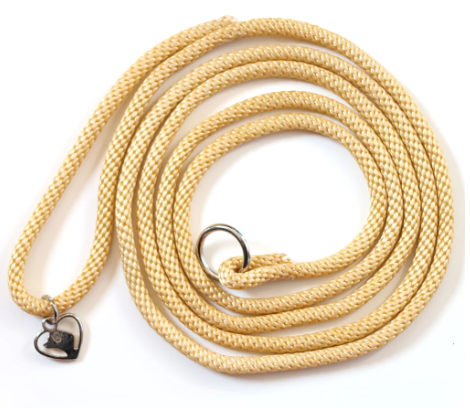 Show Leads