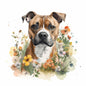 Staffordshire Bull Terrier 10