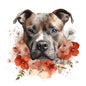 Staffordshire Bull Terrier 12