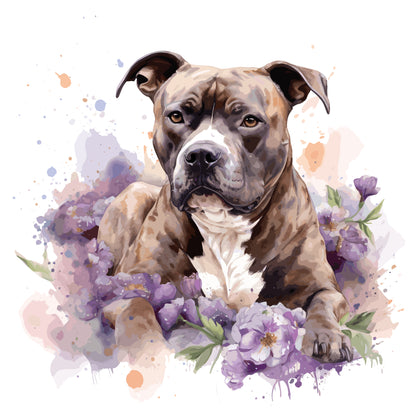 Staffordshire Bull Terrier 3