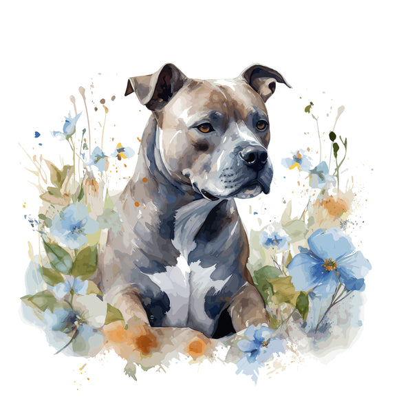 Staffordshire Bull Terrier 4