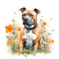 Staffordshire Bull Terrier 8