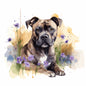 Staffordshire Bull Terrier 9
