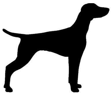 Stickers - Hungarian Vizla
