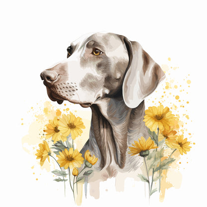 Weimaraner 10