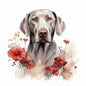 Weimaraner 8 - Crazy Dog Lady 