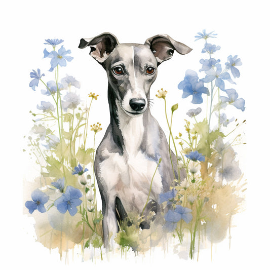 Whippet 10