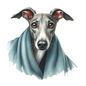 Whippet 12