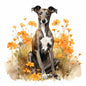 Whippet 4