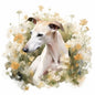 Whippet 5