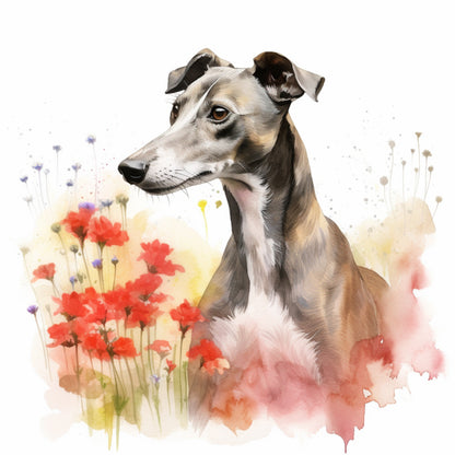 Whippet 8