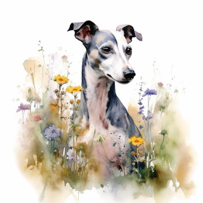 Whippet 9