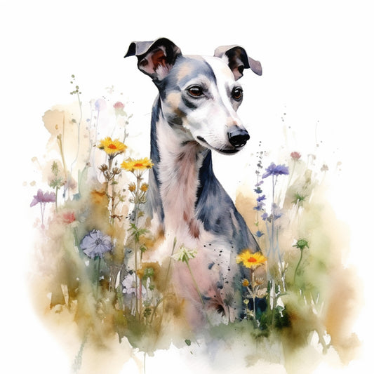 Whippet 9