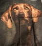 Cushion Covers, Cushion Cover, Crazy Dog Lady 