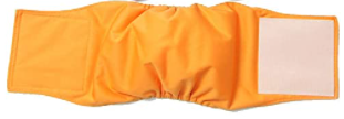 Belly Bands - X Large