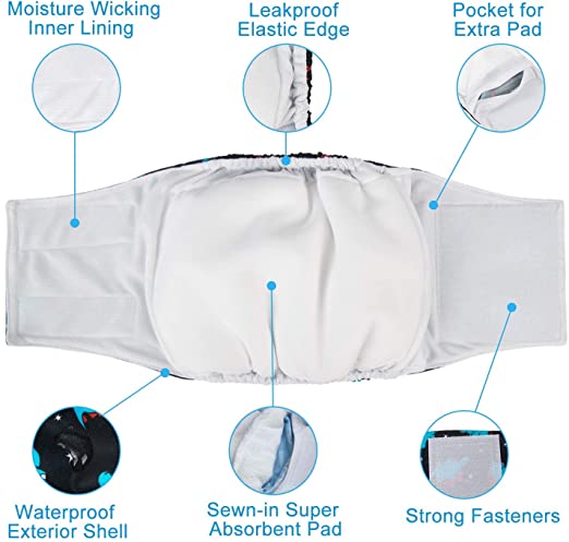 Belly Bands - X Large