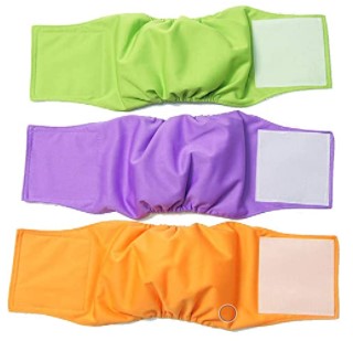 Belly Bands - X Large