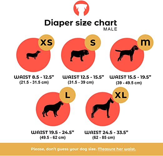 Belly Bands - X Large
