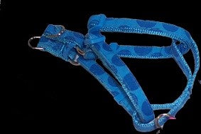 Bubbles Harness and Lead Set