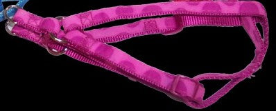 Bubbles Harness and Lead Set