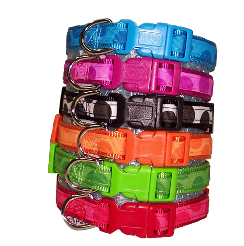 Bubbles Lead and Collar Set, Collar and Lead Set, Crazy Dog Lady 