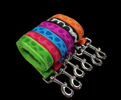 Bubbles Lead and Collar Set, Collar and Lead Set, Crazy Dog Lady 