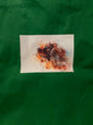 Tote Bag - Cavalier King Charles Spaniel