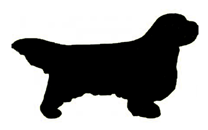Stickers - Clumber Spaniel, Sticker, Crazy Dog Lady 