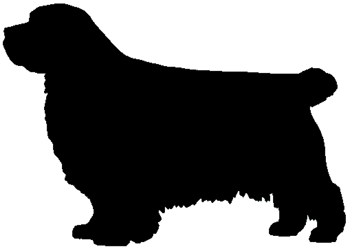 Stickers - Clumber Spaniel Docked, Sticker, Crazy Dog Lady 