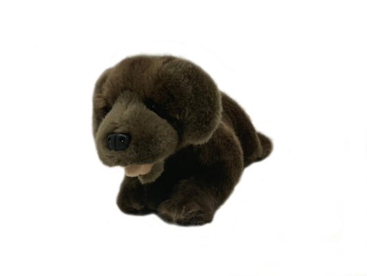 Plush Toys - Coco