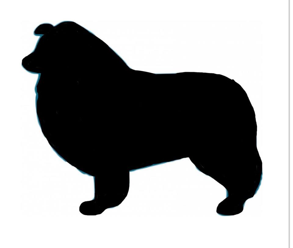 Stickers - Collie Rough, Sticker, Crazy Dog Lady 