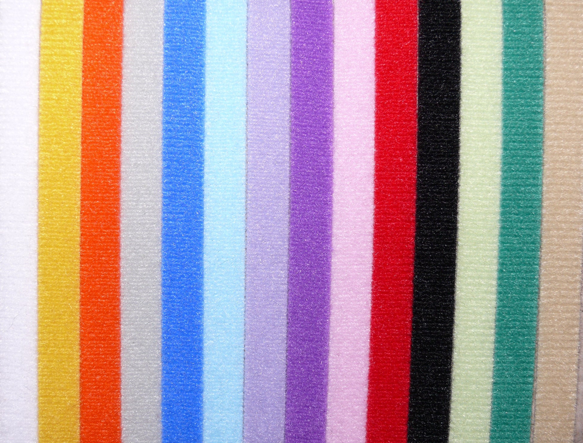 Velcro Puppy ID Collars, Collars, Crazy Dog Lady 