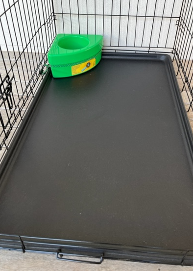 Non Spill Bowls Corner Crazy Dog Lady