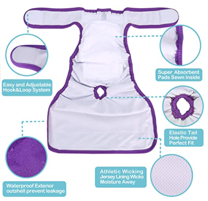 Dog Diapers - Medium