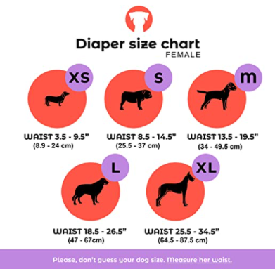 Dog Diapers - Small - 8.5" to 14.5"