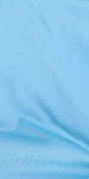 Dog Diapers - Medium