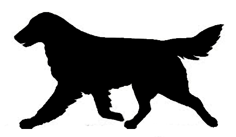 Stickers - Flat Coat Retriever Movement, Sticker, Crazy Dog Lady 
