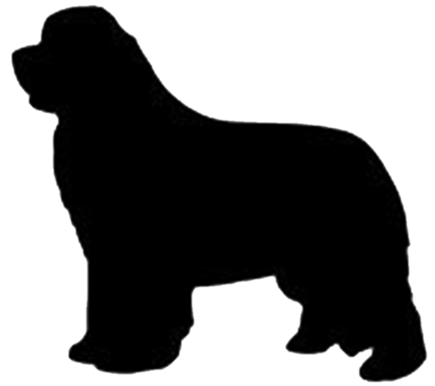 Stickers - Newfoundland, Sticker, Crazy Dog Lady 