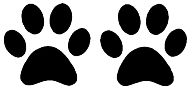 Stickers - Paw Prints, Sticker, Crazy Dog Lady 