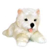 Plush Toys - Pookie
