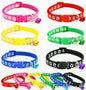 Cat Collar