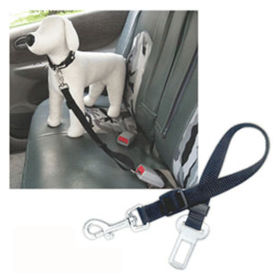 Buckle Up Seat Belts, Seatbelt, Crazy Dog Lady 